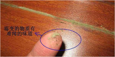 東易力天裝飾提醒你牢記這幾招，兒童房清潔輕松做