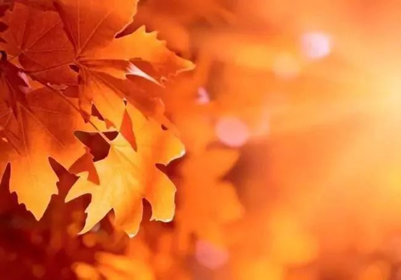 鄭州家裝公司永威經(jīng)典案例|126平現(xiàn)代簡約風·秋色、秋韻、秋日物語